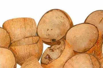 Chiratta uses coconut shell benefits and types