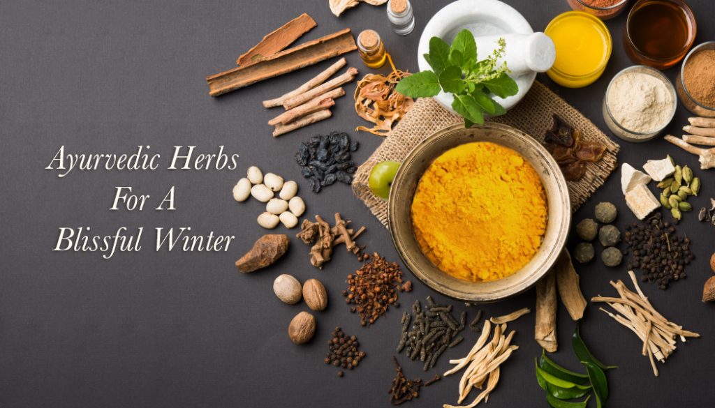 ayurveda herbs online kingnqueenz