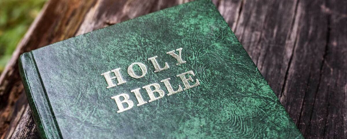 the holy book bible online kingnqueenz