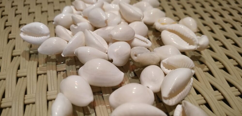 Kaudi shells Set For Raasi Cowdi/Kauri/Kowri Puja