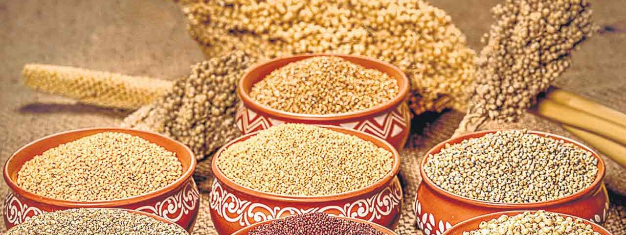 Milletes Small grains